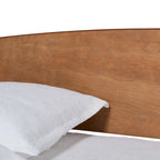 Ash Walnut Full Size Daybed with Trundle - Modern Design